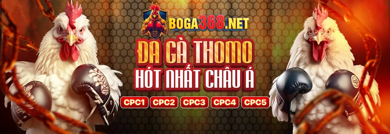 Đá Gà mmoo khuyến mãi 2026
